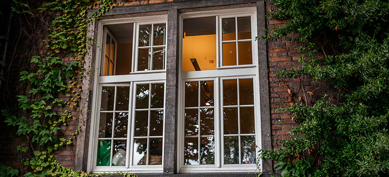 Energy Efficient Wood Windows in San Pablo, CA