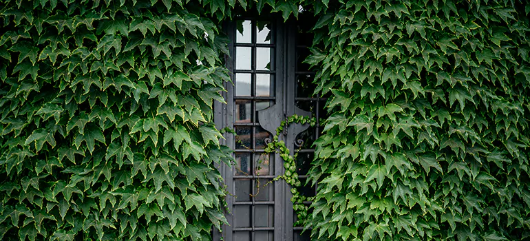 Garden Gate Repair in San Pablo, CA