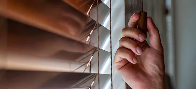 Double Roller Blinds in San Pablo, CA