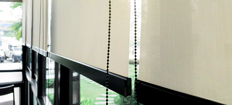 Blackout Window Shades in San Pablo, CA