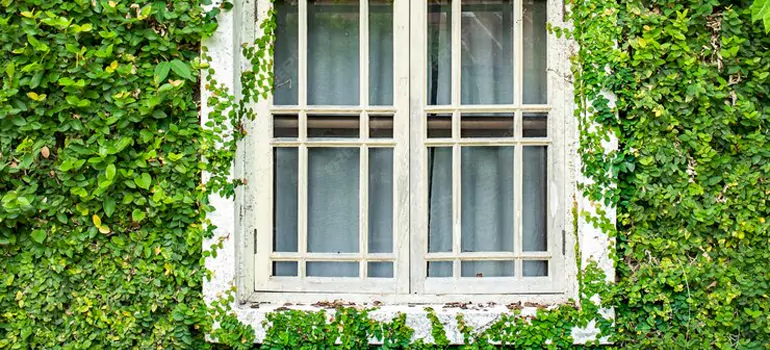Garden Window Repair Near Me in San Pablo, CA