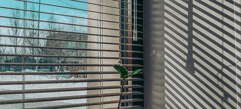 Commercial Window Blinds in San Pablo, CA