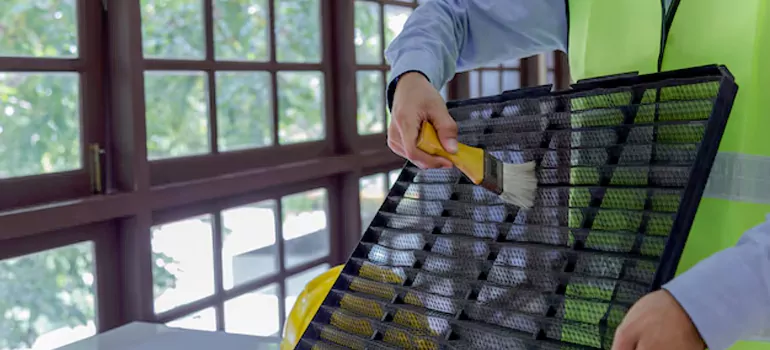Traditional Window Grille Installation Options in San Pablo, CA