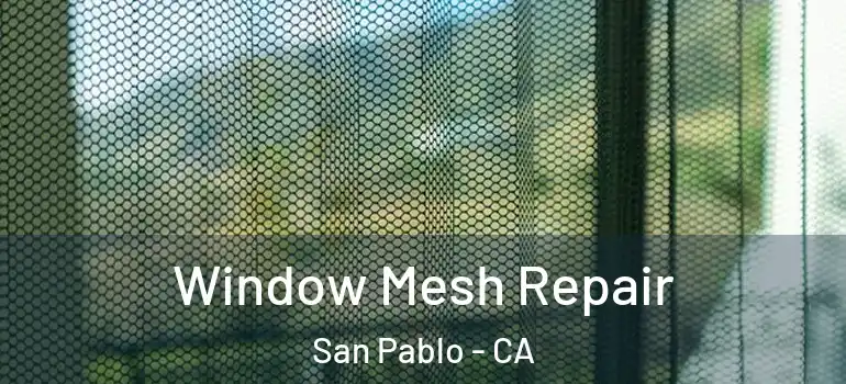  Window Mesh Repair San Pablo - CA